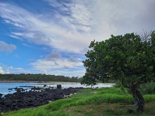 BEACHFRONT RESIDENTIAL LAND - 1 ACRE 20 POLES-2