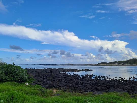 BEACHFRONT RESIDENTIAL LAND - 1 ACRE 20 POLES-5