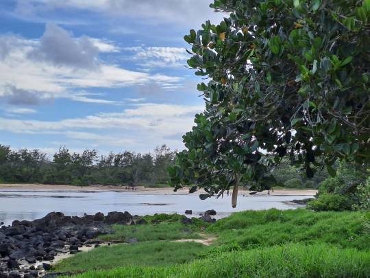 BEACHFRONT RESIDENTIAL LAND - 1 ACRE 20 POLES