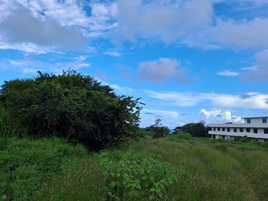 BEACHFRONT RESIDENTIAL LAND - 1 ACRE 20 POLES-6