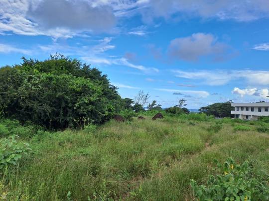BEACHFRONT RESIDENTIAL LAND - 1 ACRE 20 POLES-3