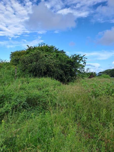 BEACHFRONT RESIDENTIAL LAND - 1 ACRE 20 POLES-4