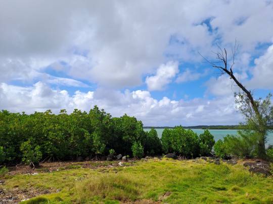 RESIDENTIAL LAND - 27.96 POLES-5