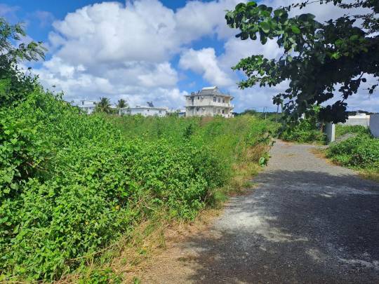 TERRAIN COMMERCIAL - 5 PERCHES-4