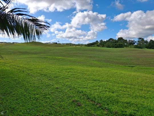 TERRAIN RESIDENTIEL - AVALON - 2309 m²-4