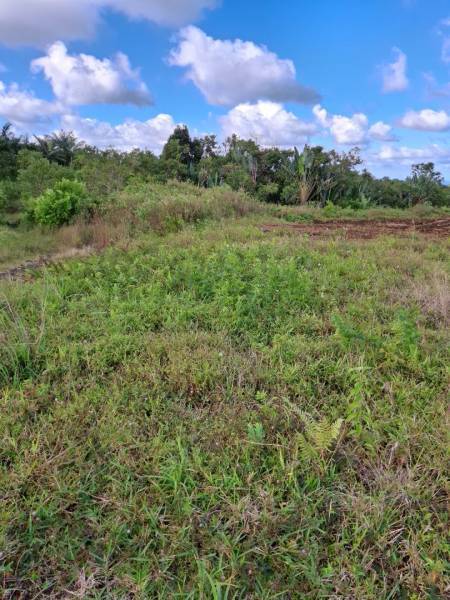 TERRAIN RESIDENTIEL - AVALON - 2309 m²-5