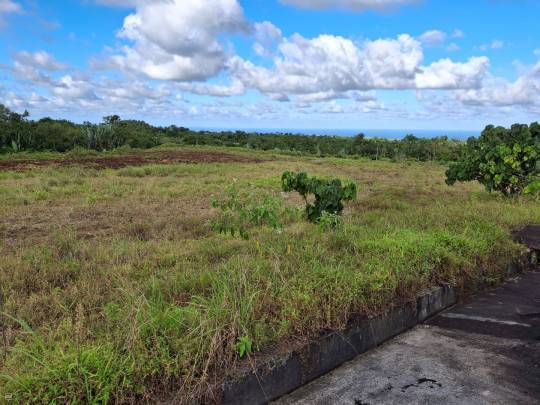TERRAIN RESIDENTIEL - AVALON - 2309 m²