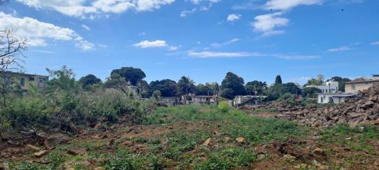 TERRAIN RESIDENTIEL - 295 m²-4