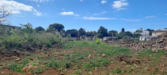 TERRAIN RESIDENTIEL - 295 m²-3