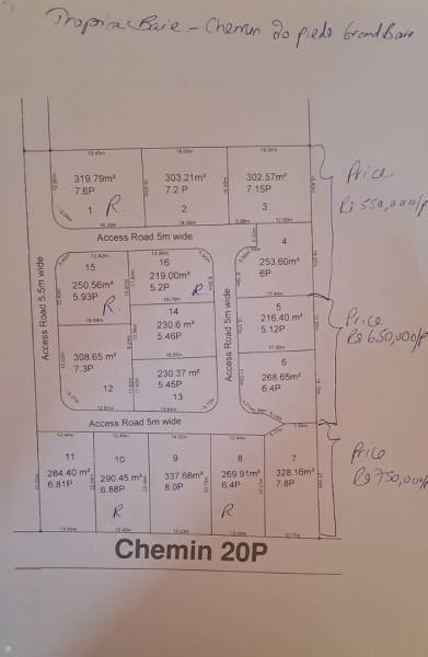 TERRAIN COMMERCIAL - 252m²-2