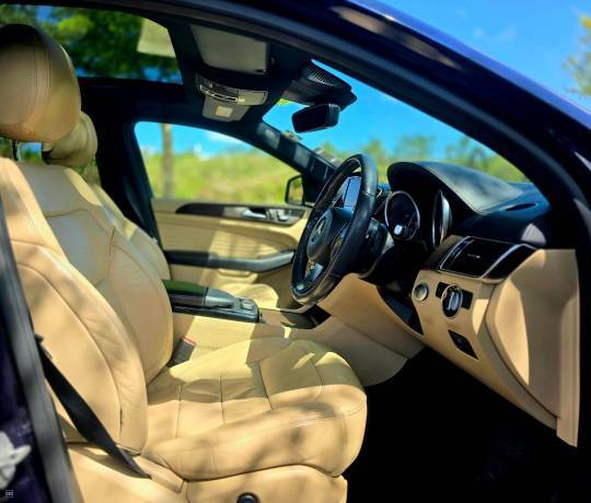 Mercedes GLE350d 4-Matic - 2017-8