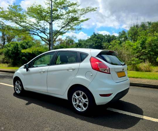 Ford Fiesta 2014-4
