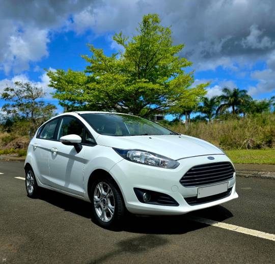 Ford Fiesta 2014-3