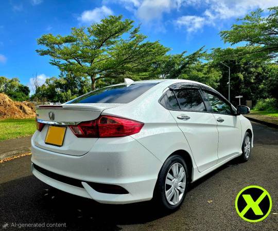 Honda Grace - 2019-6