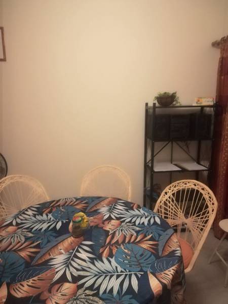 APPARTEMENT - 3 CHAMBRES-6