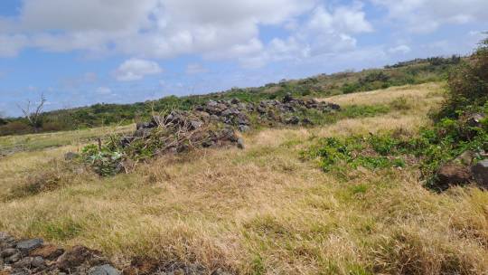 TERRAIN RESIDENTIEL - 6 PERCHES-2