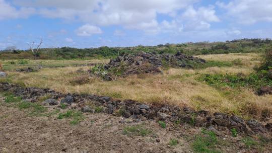 TERRAIN RESIDENTIEL - 301 m²