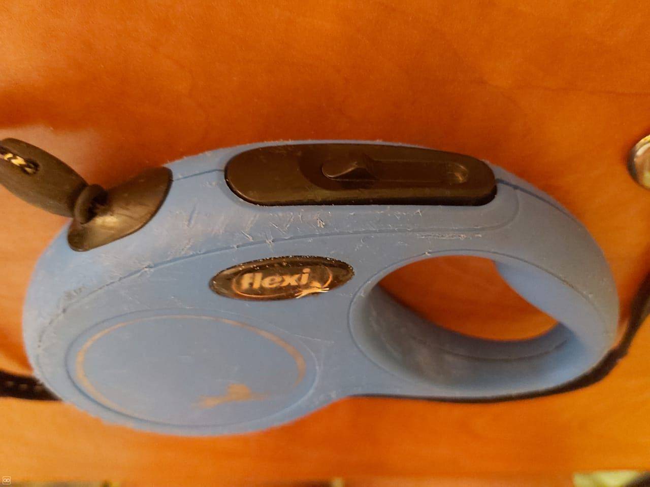 Laisse chien FLEXI Fabriqué en Allemagne 5m Max12k weshare.mu