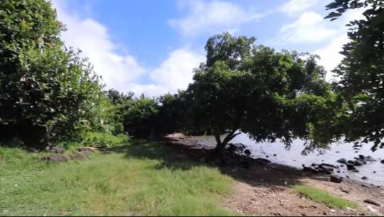 RESIDENTIAL LAND - 27.96 POLES-6