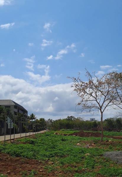 TERRAIN RESIDENTIEL - 357 m²-2