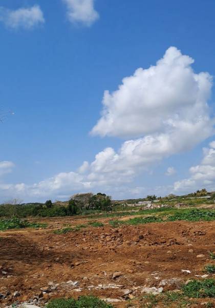 TERRAIN RESIDENTIEL - 357 m²-4