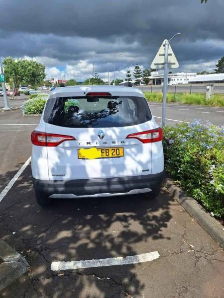 RENAULT TRIBER 7 SEATS 2020-2